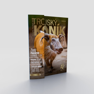 Trojský koník - Proměny a dospívání
