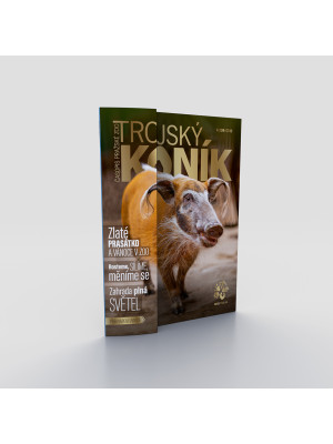 Trojský koník - Proměny a dospívání