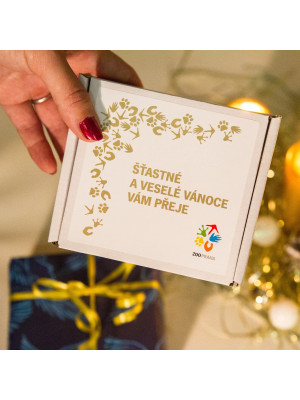 Vánoční štěstí