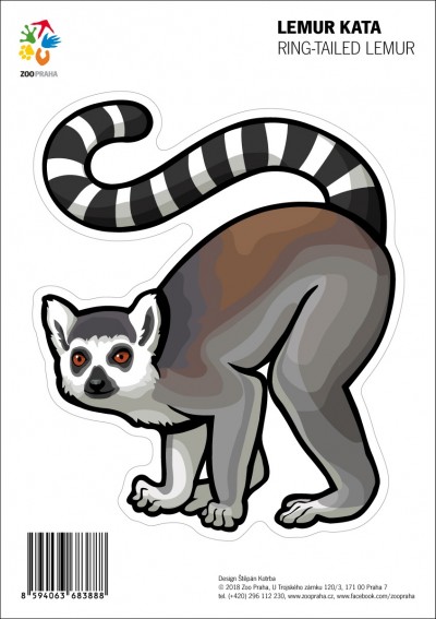 Samolepka – Lemur kata