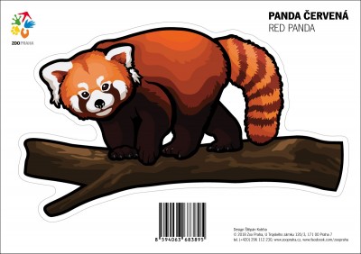 Samolepka – Panda červená