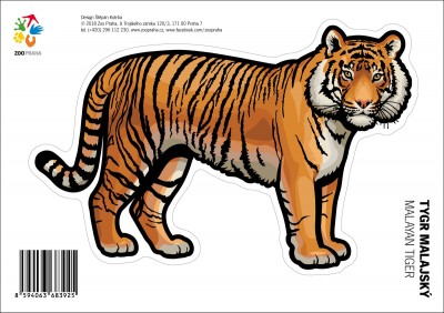 Samolepka – Tygr malajský