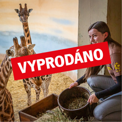 Chovatelem na jeden den v Africkém domě