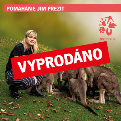 Chovatelem na půlden v Darwinově kráteru