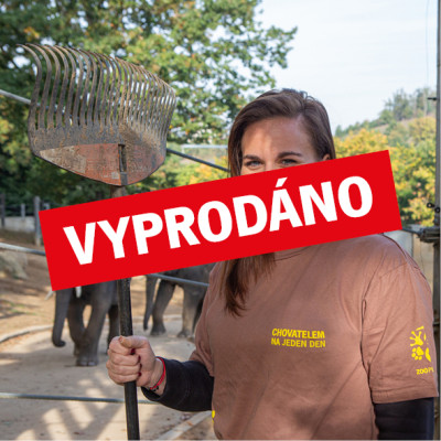 Chovatelem na jeden den v Údolí slonů