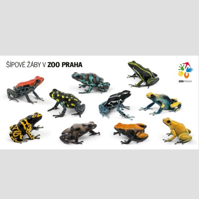 Pohlednice Zoo Praha – šípové žáby 