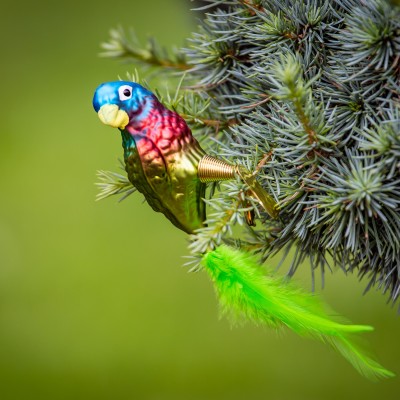 Ručně malovaná vánoční ozdoba s motivem papouška - amazoňan jamajský