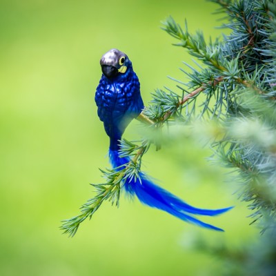 Ručně malovaná vánoční ozdoba s motivem papouška – ara Learův
