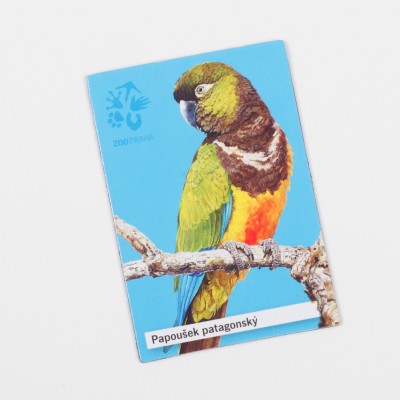 Magnetka s motivem papouška – papoušek patagonský