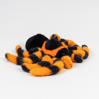 Pavouk sklípkan 18 cm