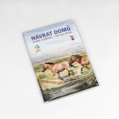 DVD Návrat domů