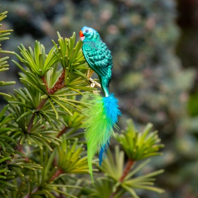 Ručně malovaná vánoční ozdoba s motivem papouška – mada modrotemenný