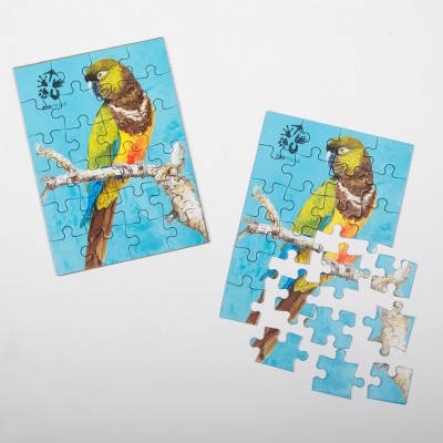 Puzzle papoušek patagonský