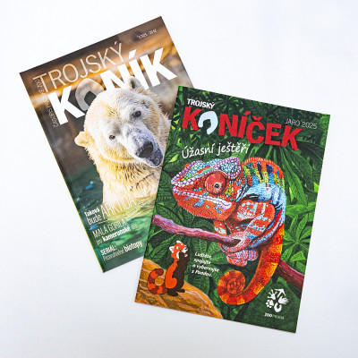 Balíček Trojský koník + Trojský koníček 1/25 