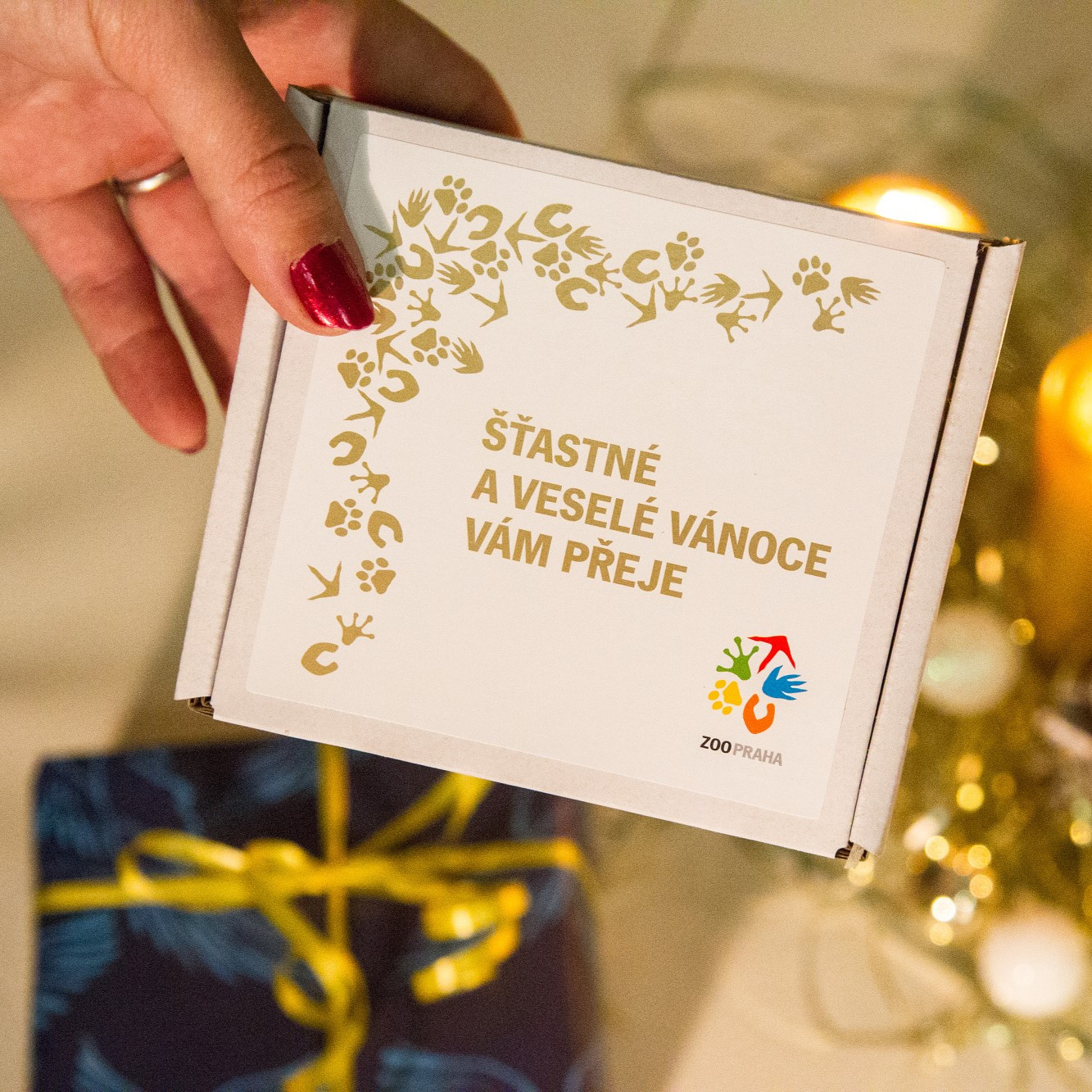 Vánoční štěstí