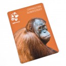 Magnetka s motivem orangutana