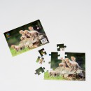 Puzzle Gepardi