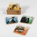 Sada dřevěných podtácků Zoo Praha