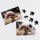 Puzzle Zoo Praha