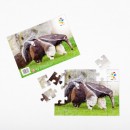 Puzzle mravenečník