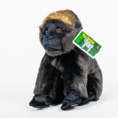 Gorila nížinná ze Zoo Praha - Kamba