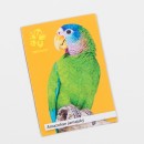 Magnetka s motivem papouška – amazoňan jamajský