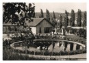 Leporelo 85. výročí 