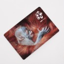 Magnetka s motivem mláděte orangutana