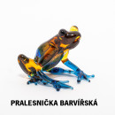 Pralesnička barvířská