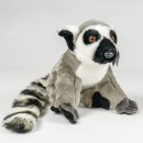 Lemur kata