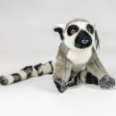 Lemur kata