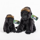 Gorila nížinná ze Zoo Praha - Kamba