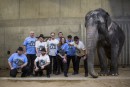 Tričko s nápisem "Hlavou zeď neprorazíš" si oblíbila populární ska kapela Sto zvířat. Foto: Václav Šilha, Zoo Praha