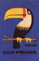 Retro blok s motivem tukana