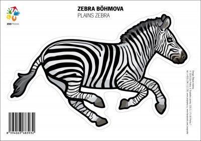 Samolepka – Zebra Böhmová