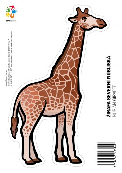 Samolepka – Žirafa severní núbijská