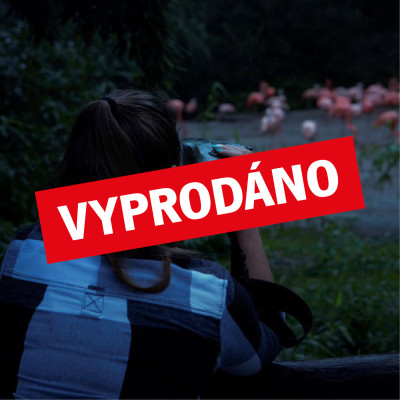 Noční výprava s termokamerou