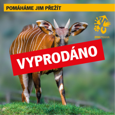 Na skok u antilop