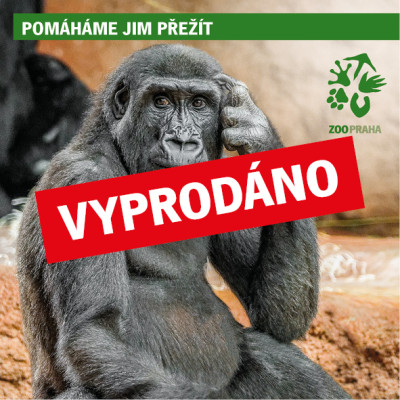 Na návštěvě u goril