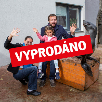 Setkání s lachtany