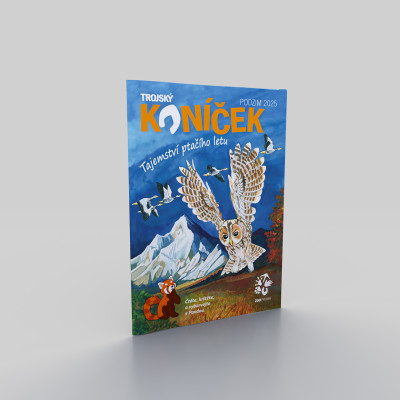 Trojský koníček - Tajemství ptačího letu