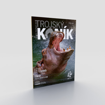 Trojský koník - Léto u vody