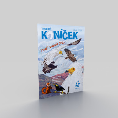 Trojský koníček - Ptačí vandrování