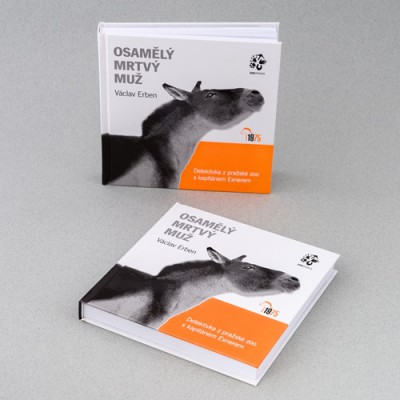Osamělý mrtvý muž – Václav Erben