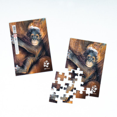 Puzzle orangutaní mládě 