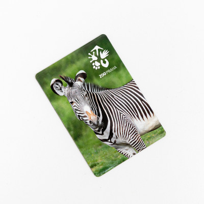Magnetka zebra