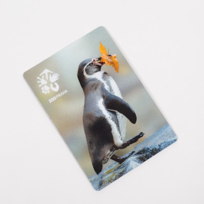 Magnetka s motivem tučňáka