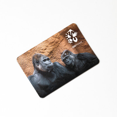 Magnetka Kisumu a Duni