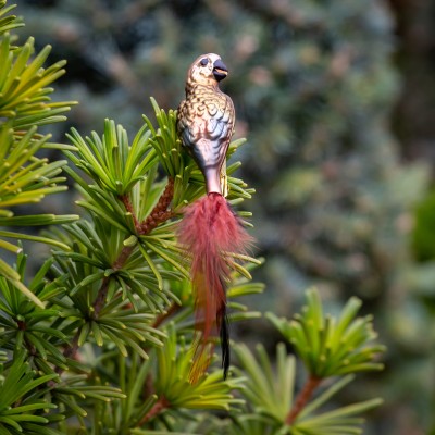 Ručně malovaná vánoční ozdoba s motivem papouška – nestor kea