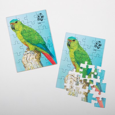 Puzzle kogna jižní